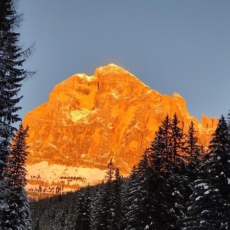 Daniela Apartment Cortina d'Ampezzo Ngoại thất bức ảnh